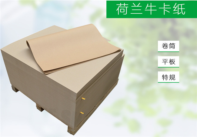 002荷蘭?？?jpg